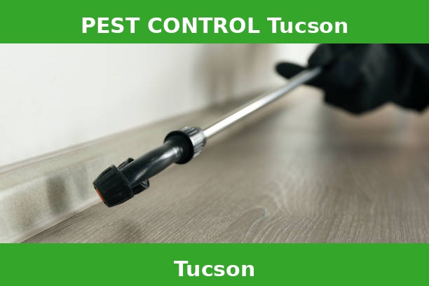 PEST CONTROL Tucson
